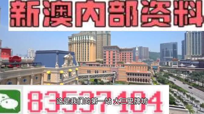 2024澳门精准正版免费精选解释解析落实